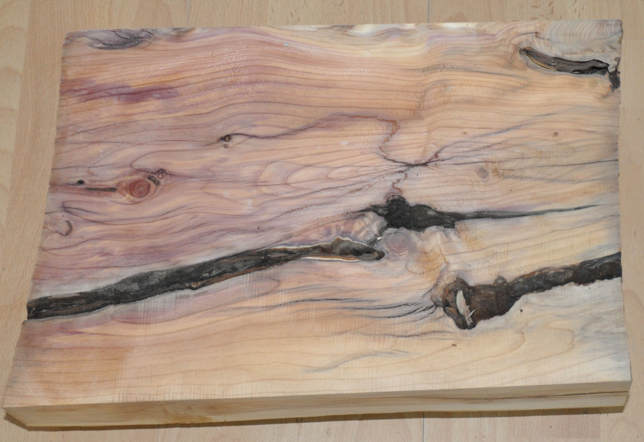 Eibe zum drechseln - 1203