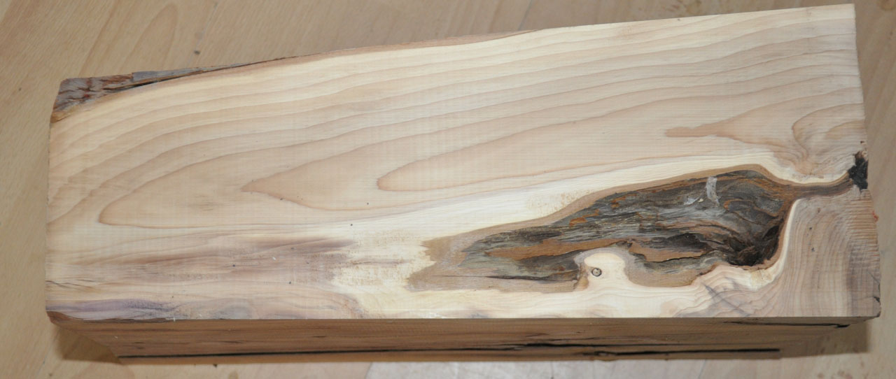 Eibe zum drechseln - 1203