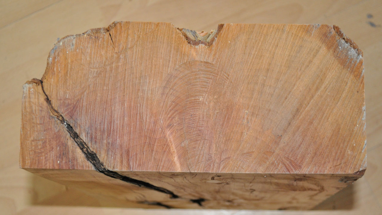 Eibe zum drechseln - 1203