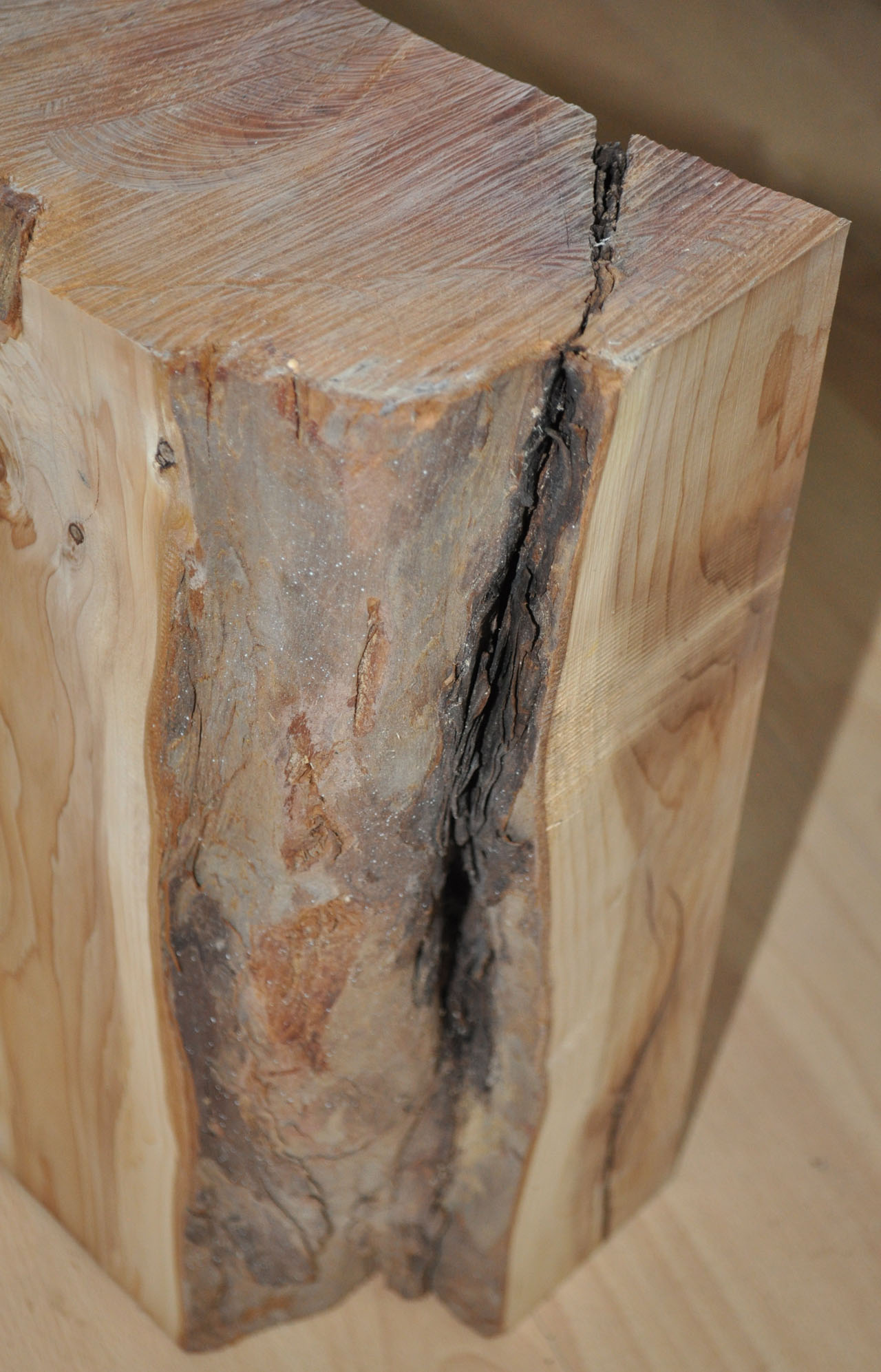 Eibe zum drechseln - 1203