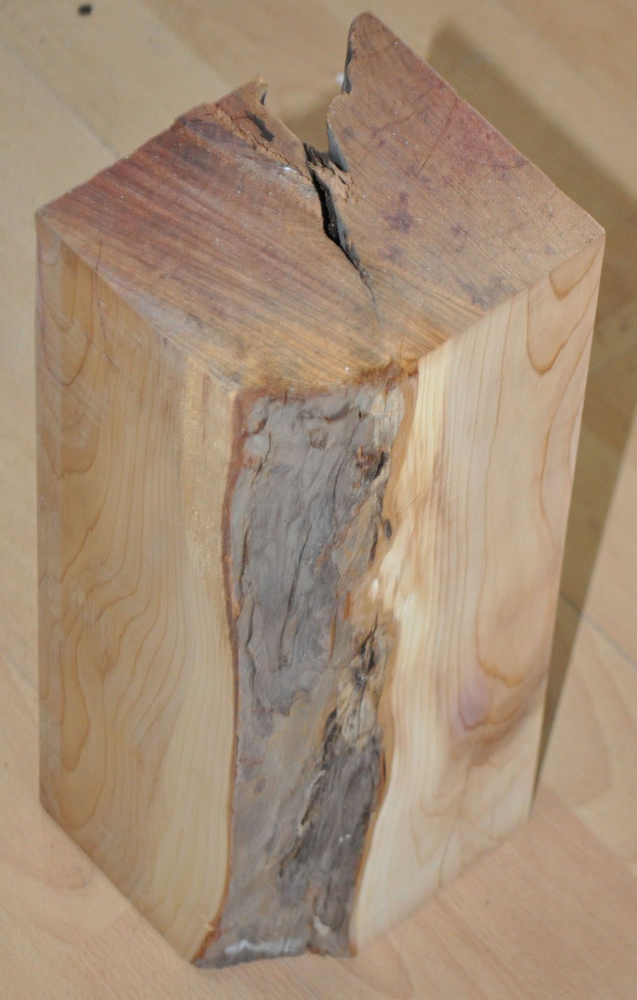 Eibe zum drechseln - 1205