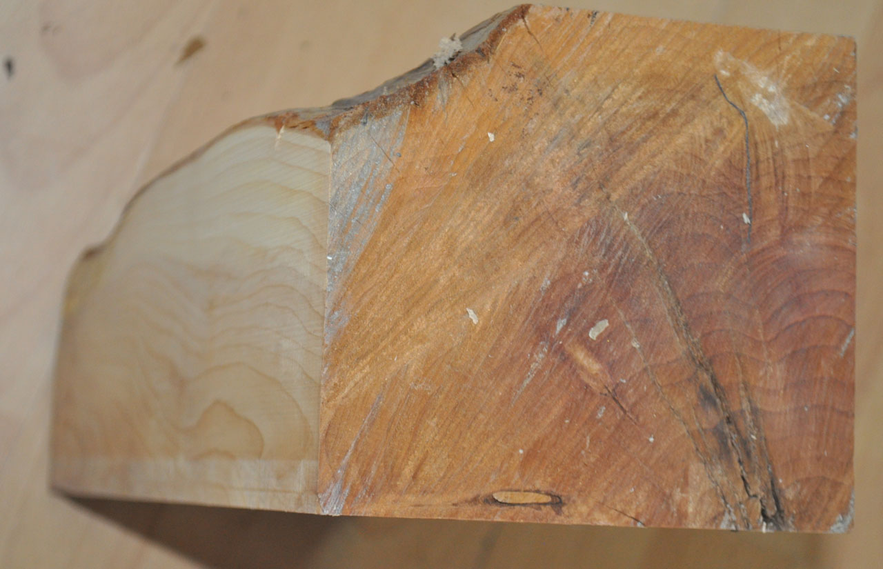 Eibe zum drechseln - 1205