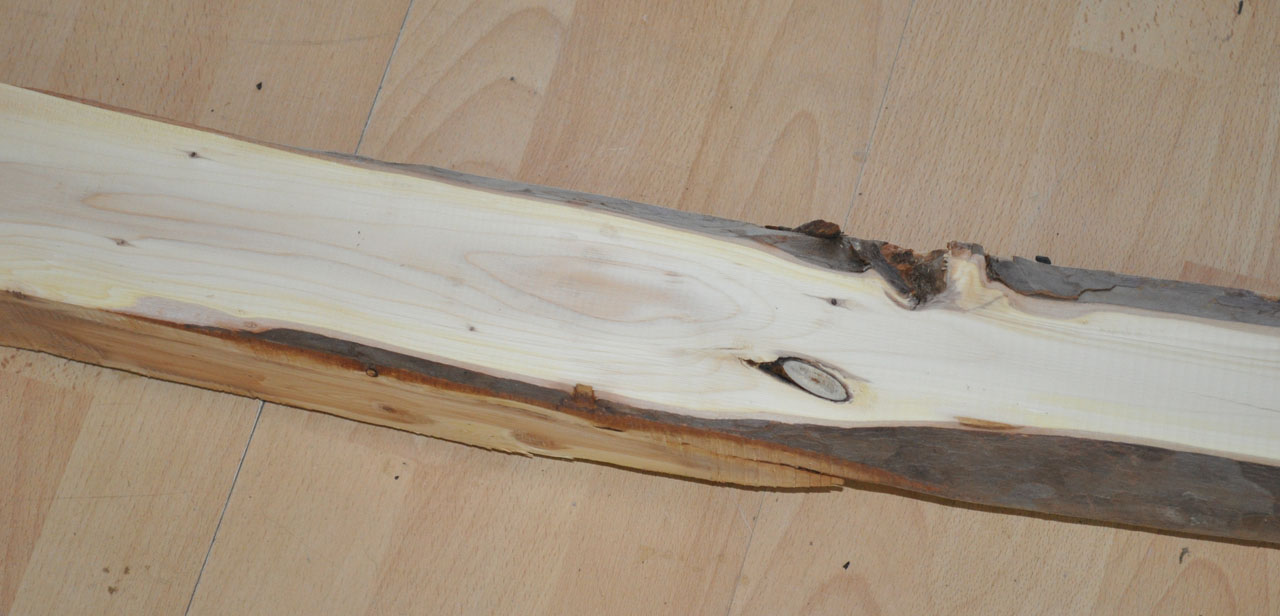 Eibe zum drechseln - 1207