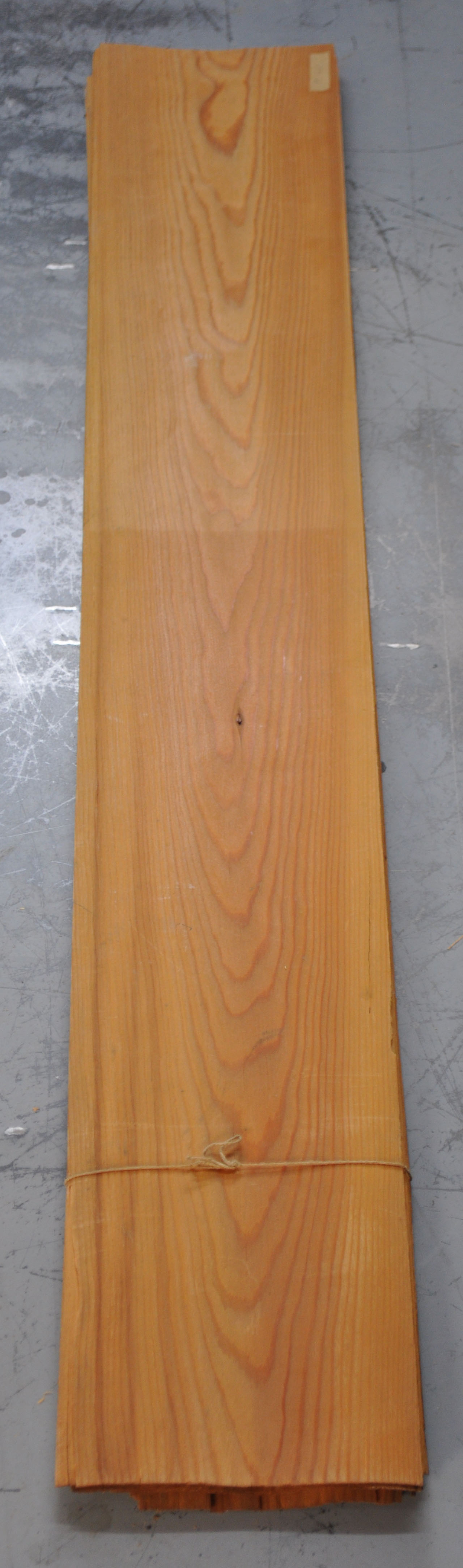 Furnier Kiefer - 1219