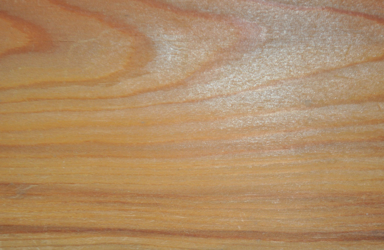 Furnier Kiefer - 1219