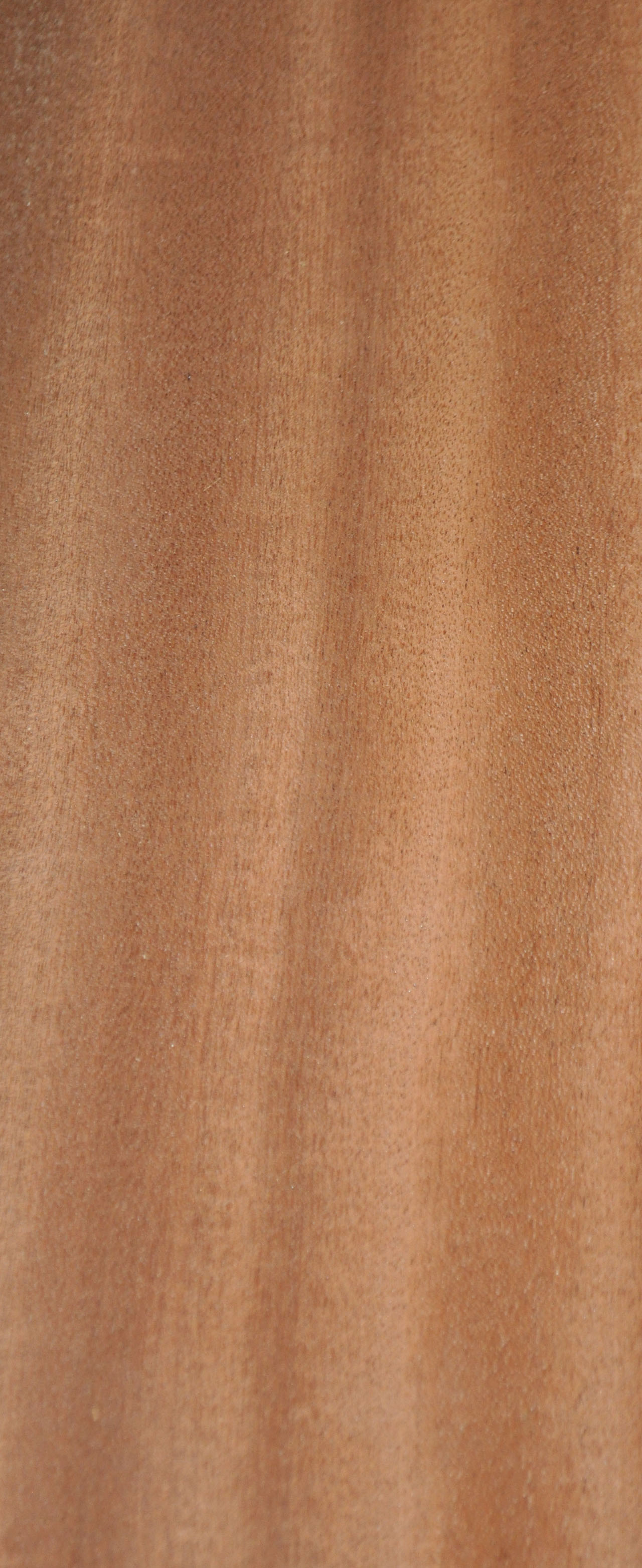 Furnier Mahagoni - 1226