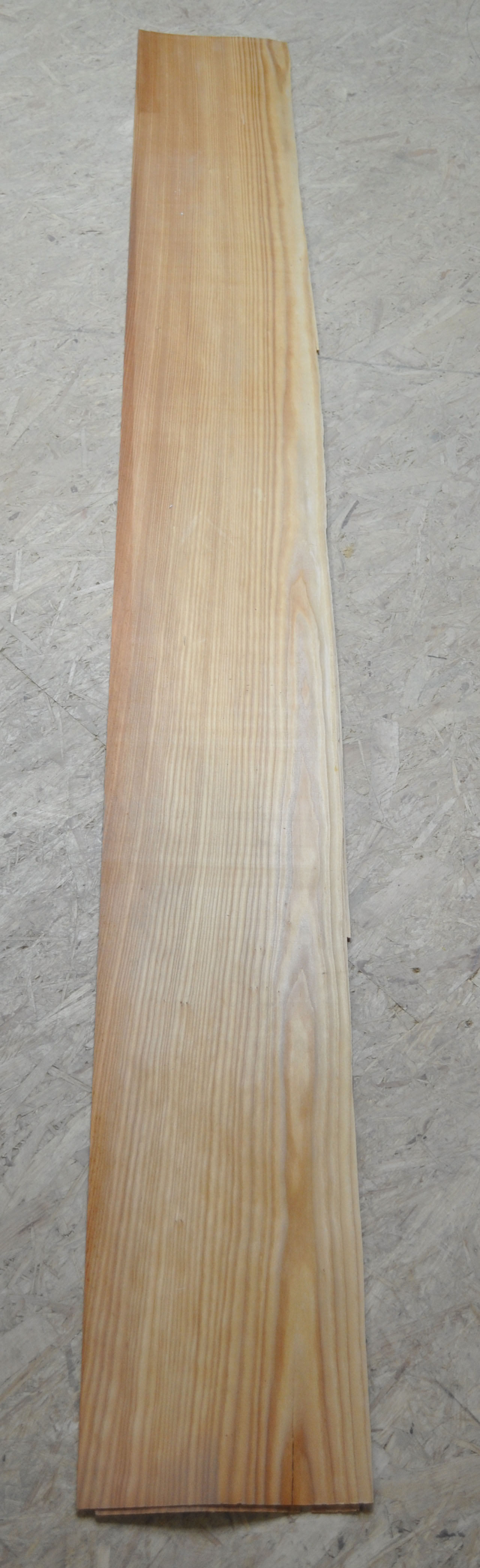 Furnier Kiefer - 1229