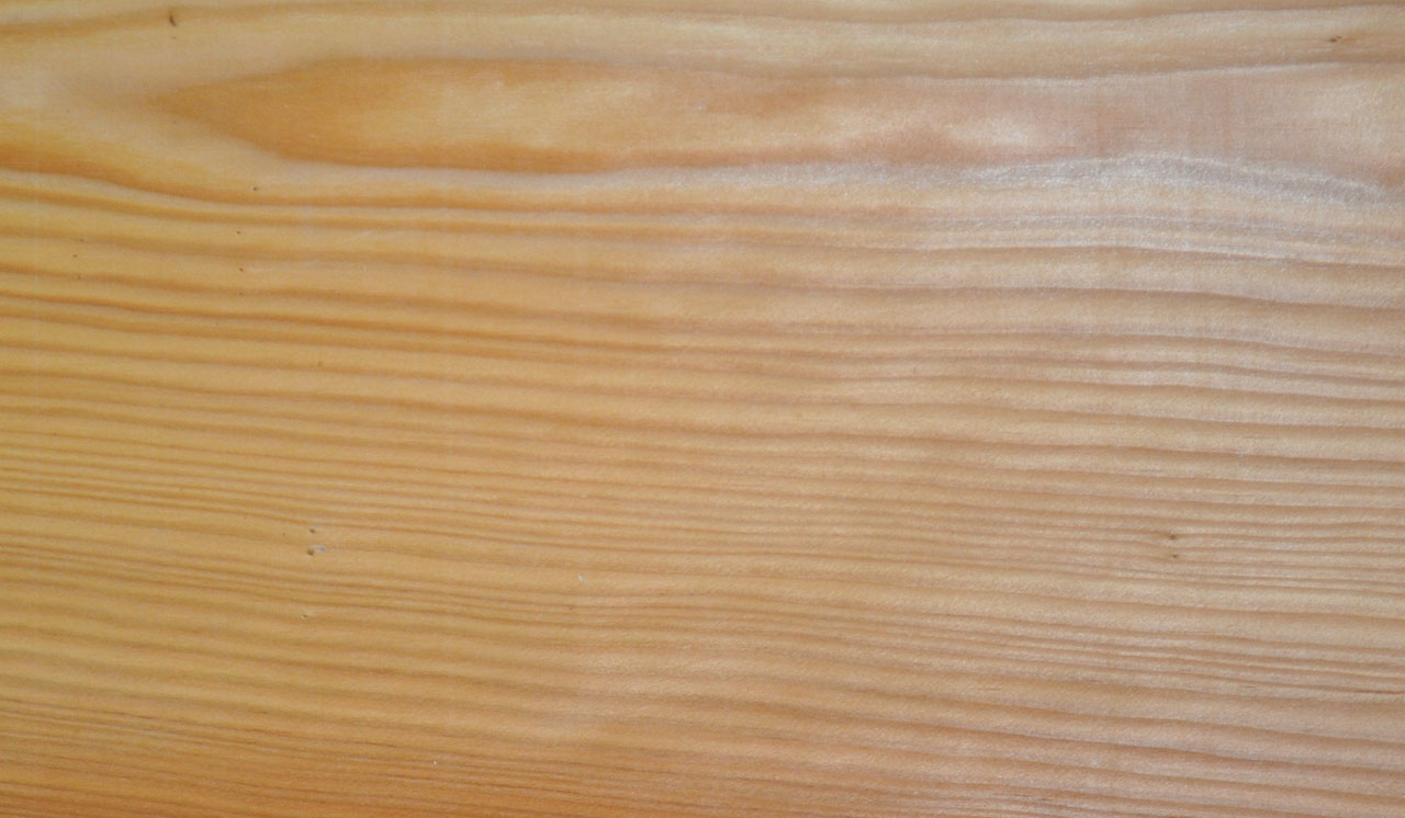 Furnier Kiefer - 1229