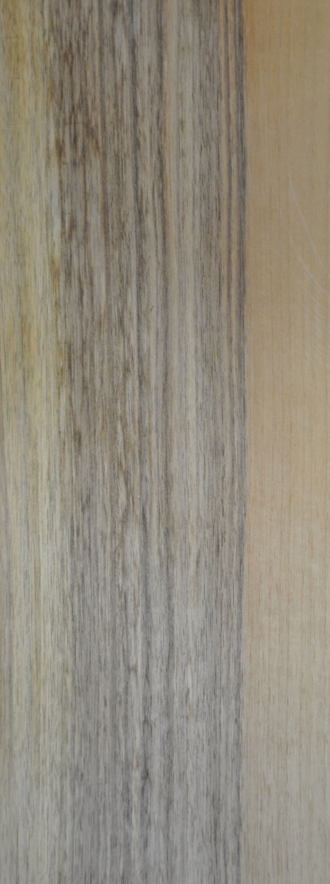 Furnier Nussbaum - 1231