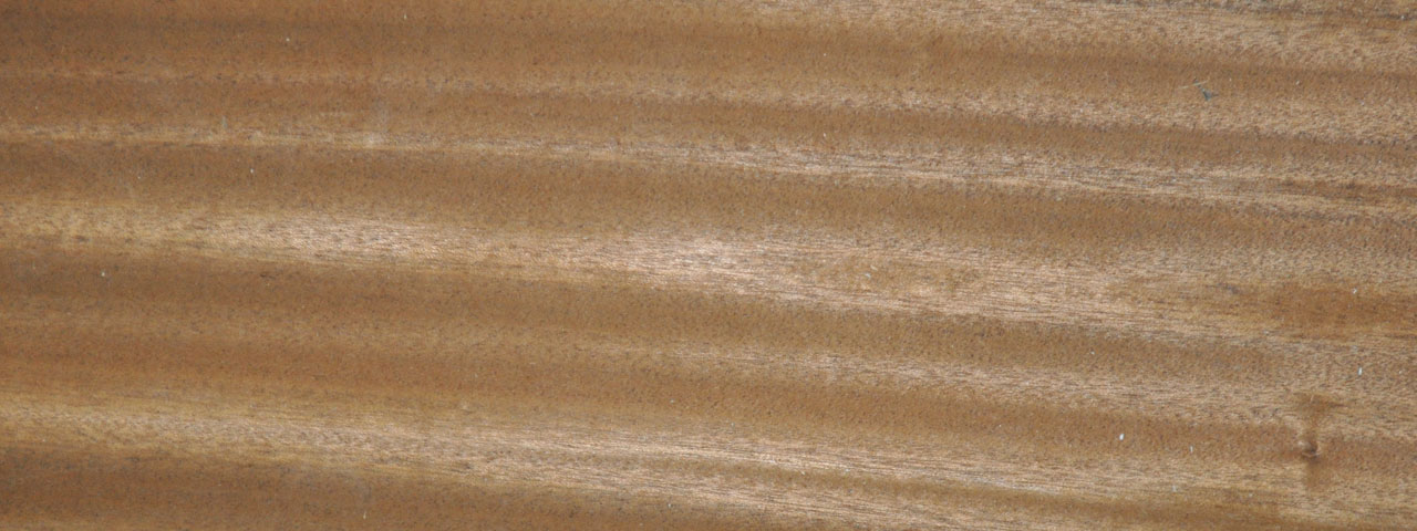 Furnier Mahagoni - 1232