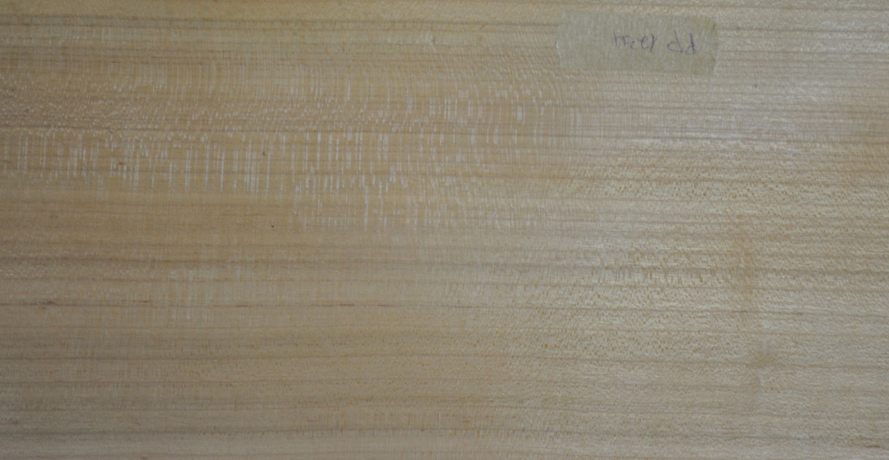 Furnier Kirschbaum - 1234