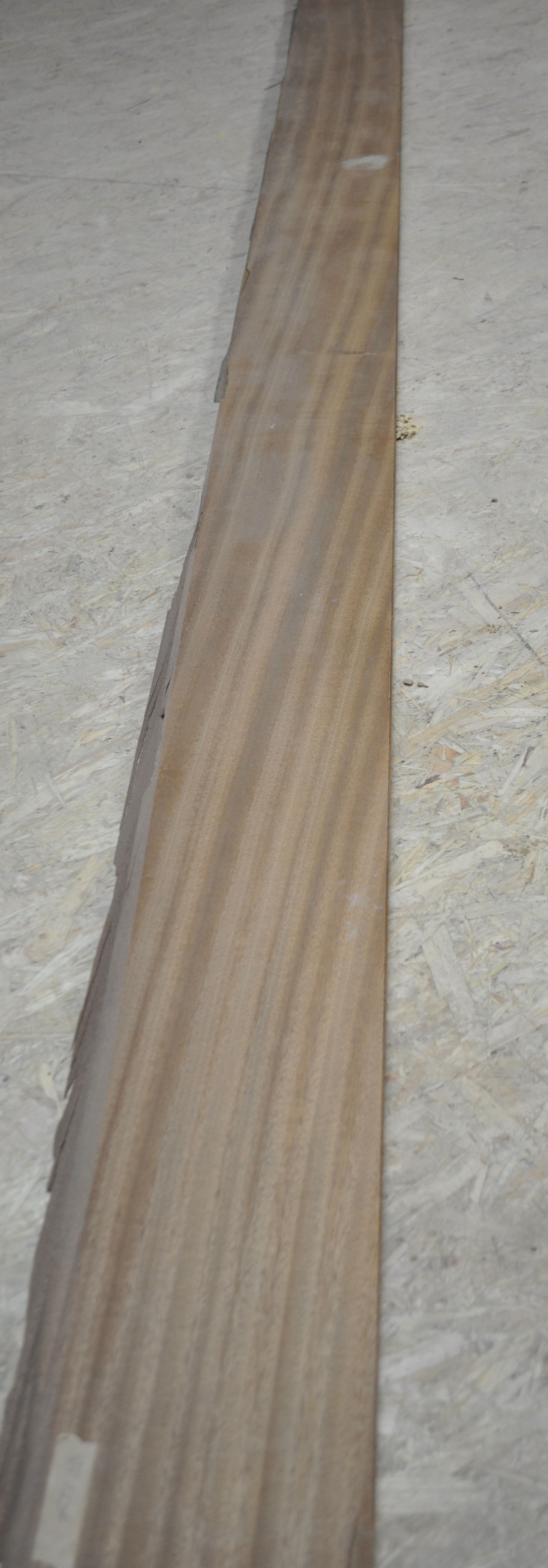 Furnier Mahagoni - 1236