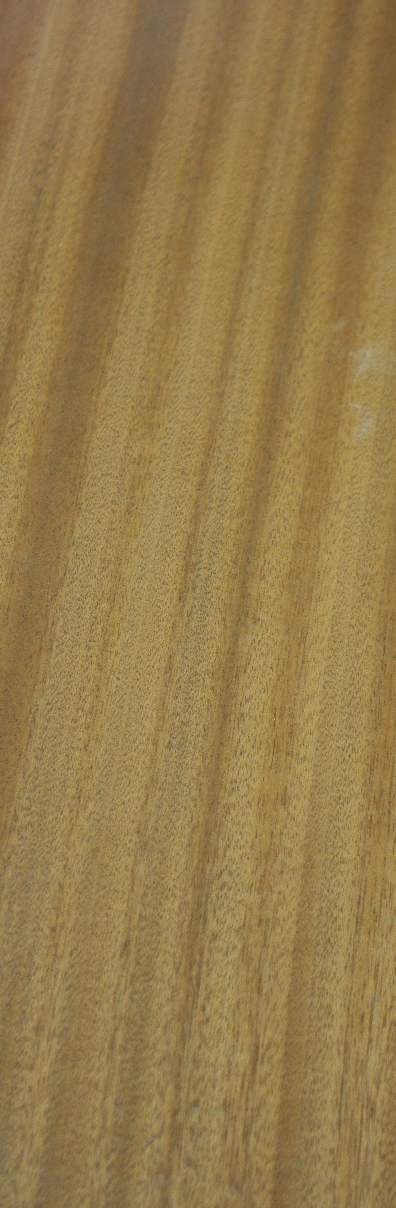 Furnier Mahagoni - 1236