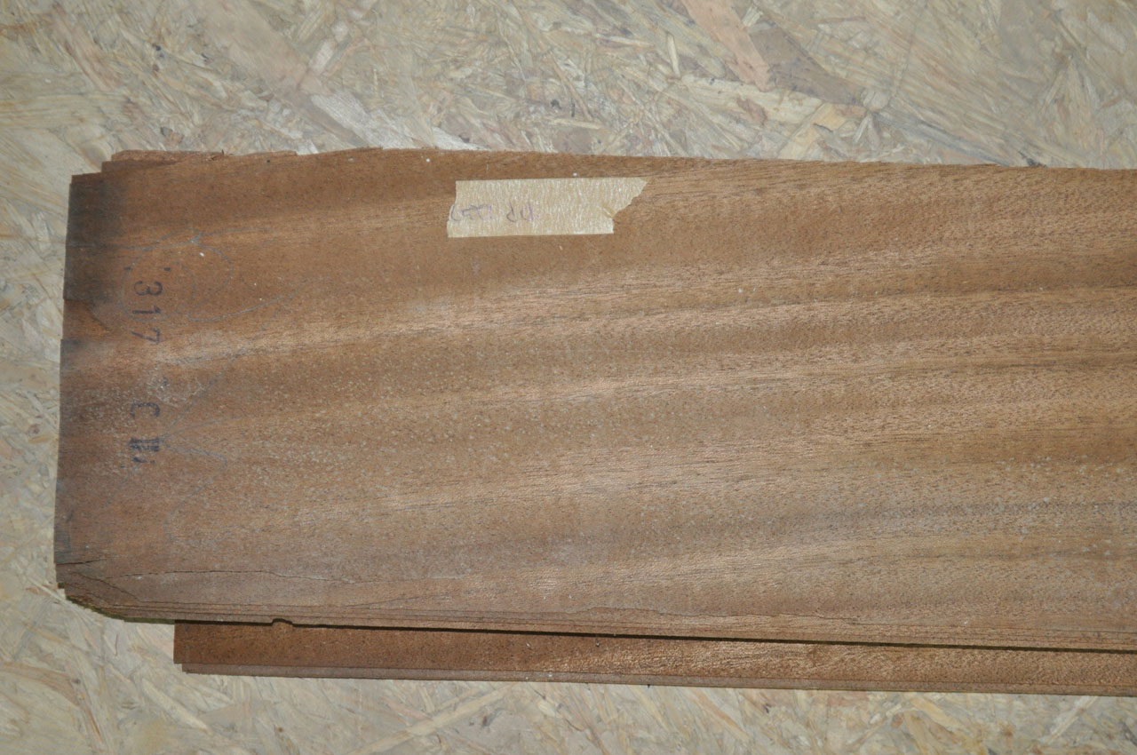 Furnier Mahagoni - 1237