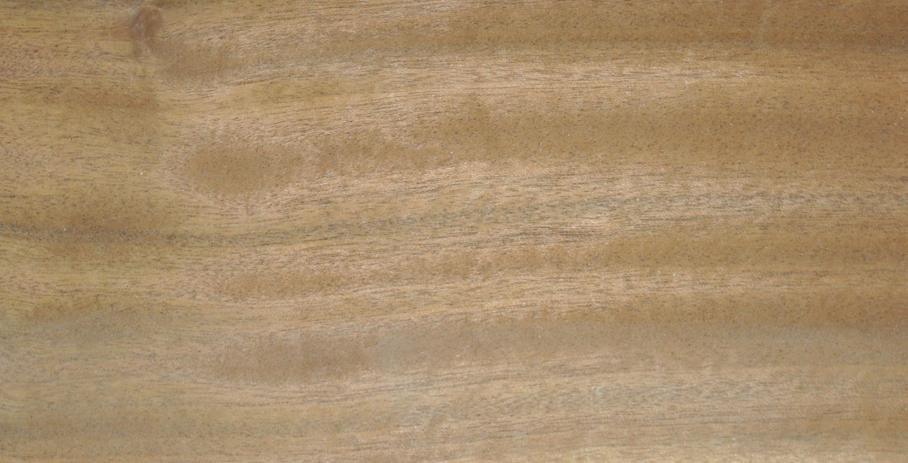 Furnier Mahagoni - 1237