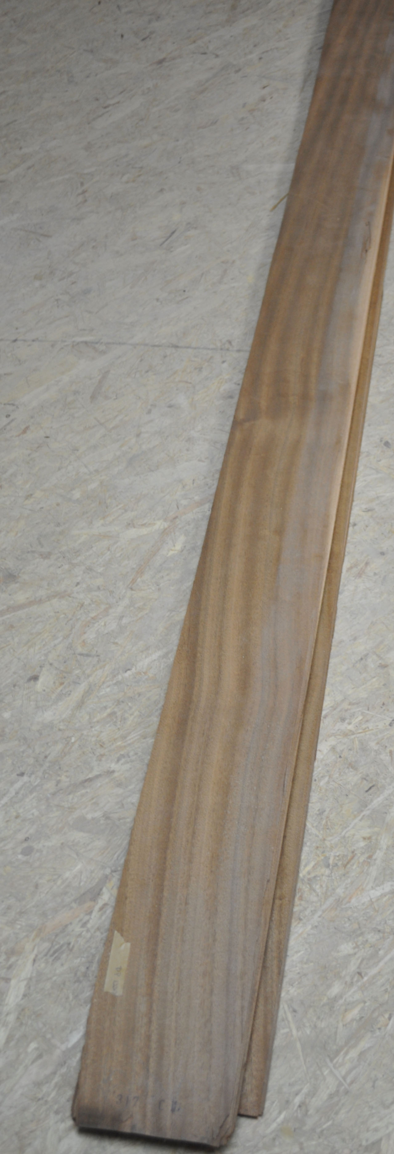 Furnier Mahagoni - 1237