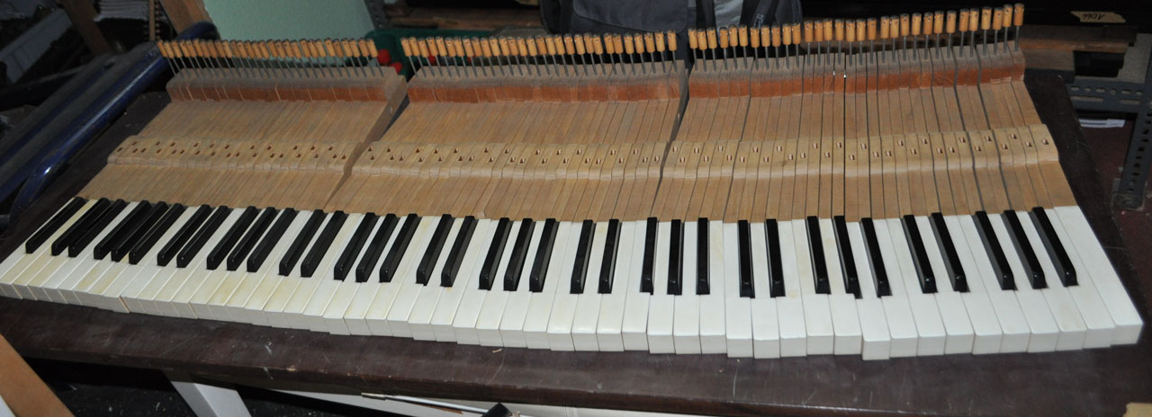 Tasten Klavier - 1372