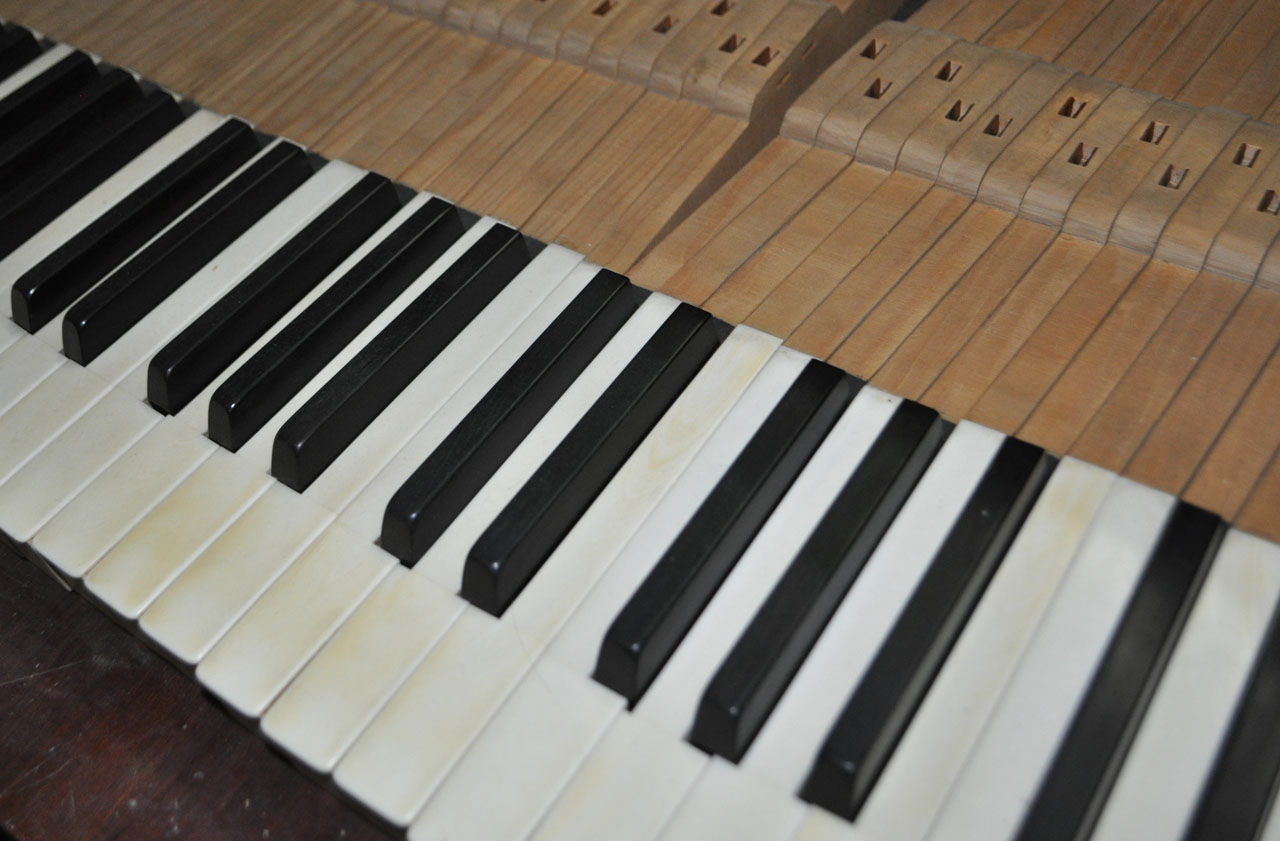 Tasten Klavier - 1372