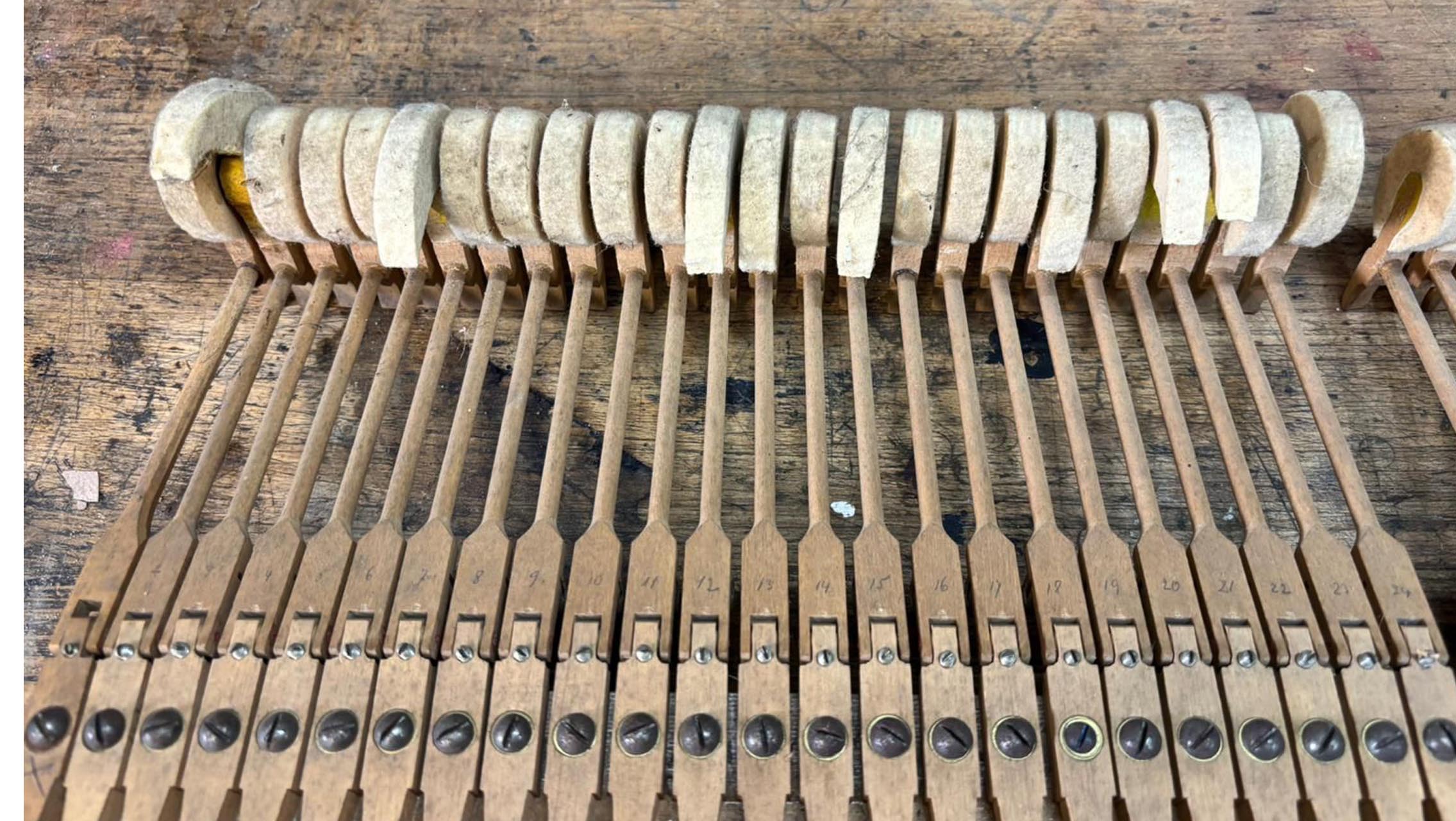 Hammerk&ouml;pfe und Stiele f&uuml;r Bechstein - 1441